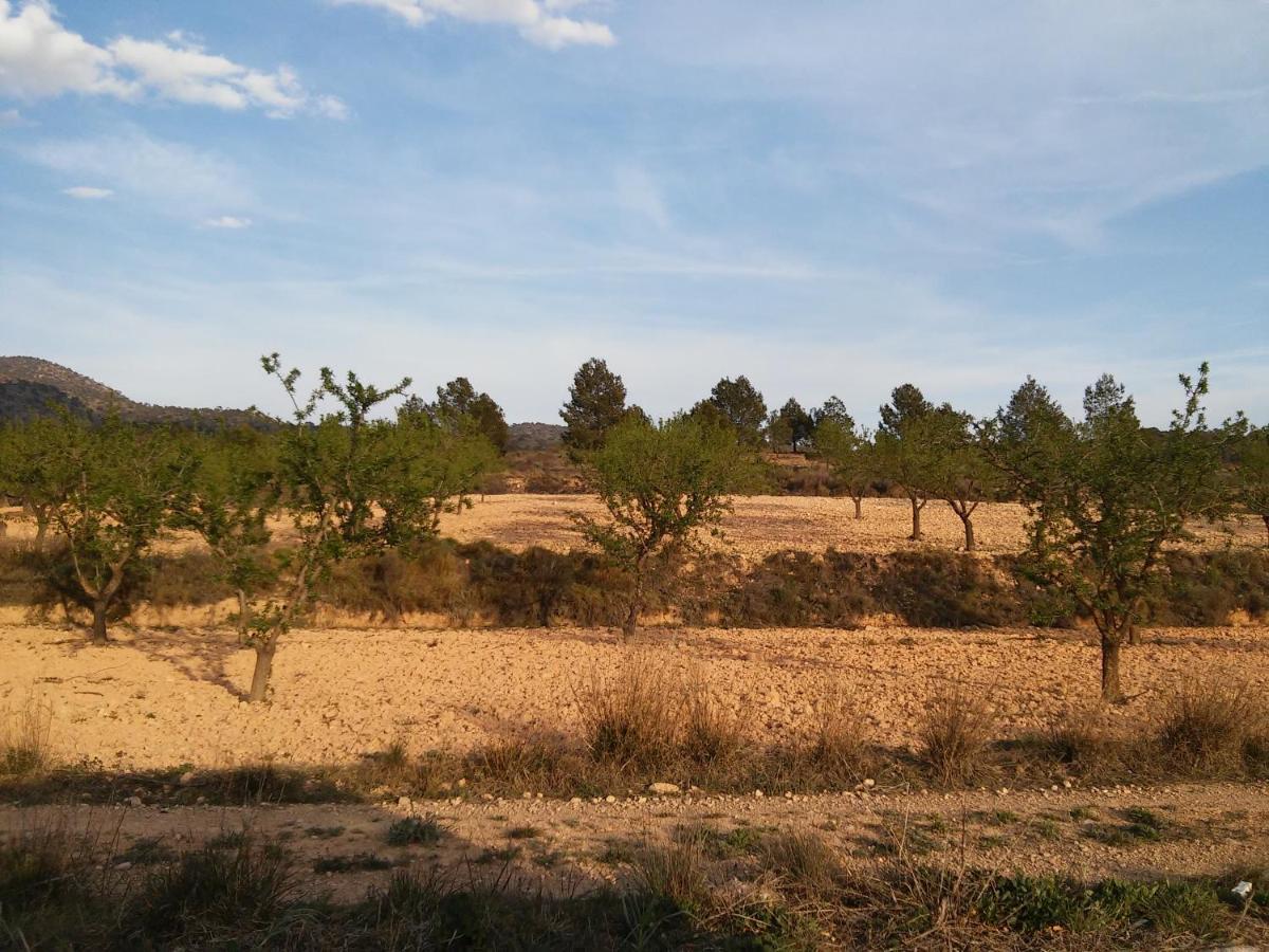 Casa Rural El Carmen De La Sierra Yecla Exterior photo